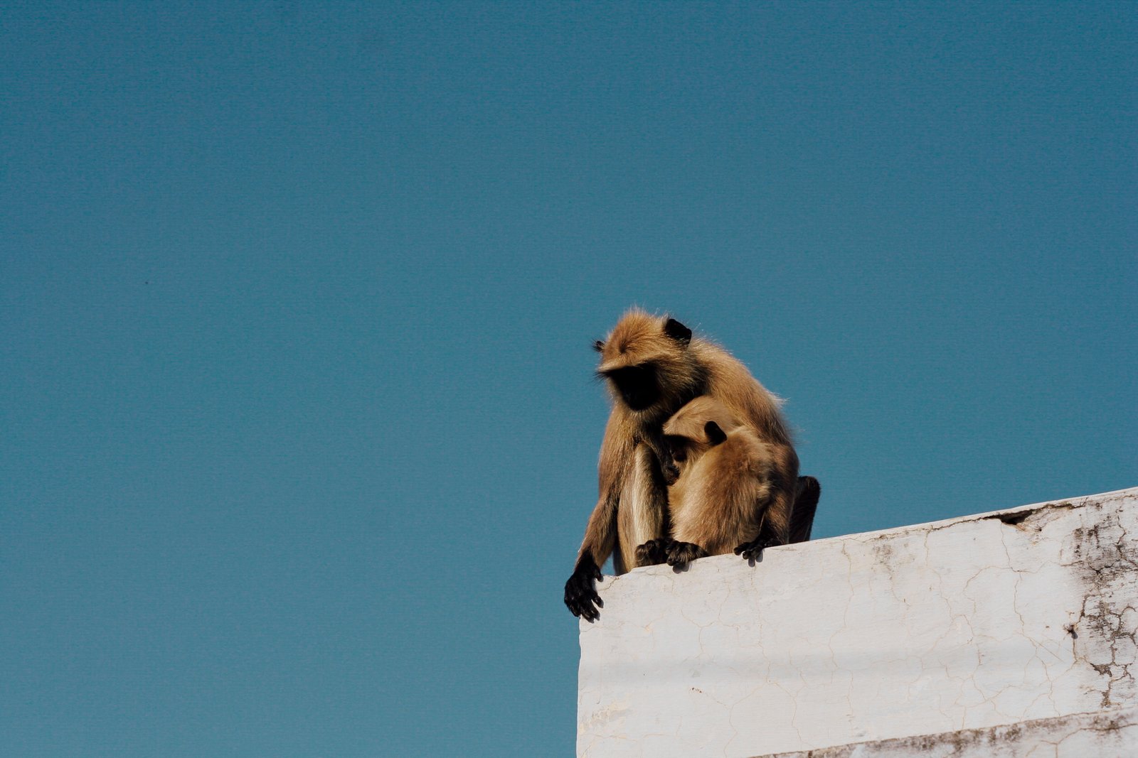 india03
